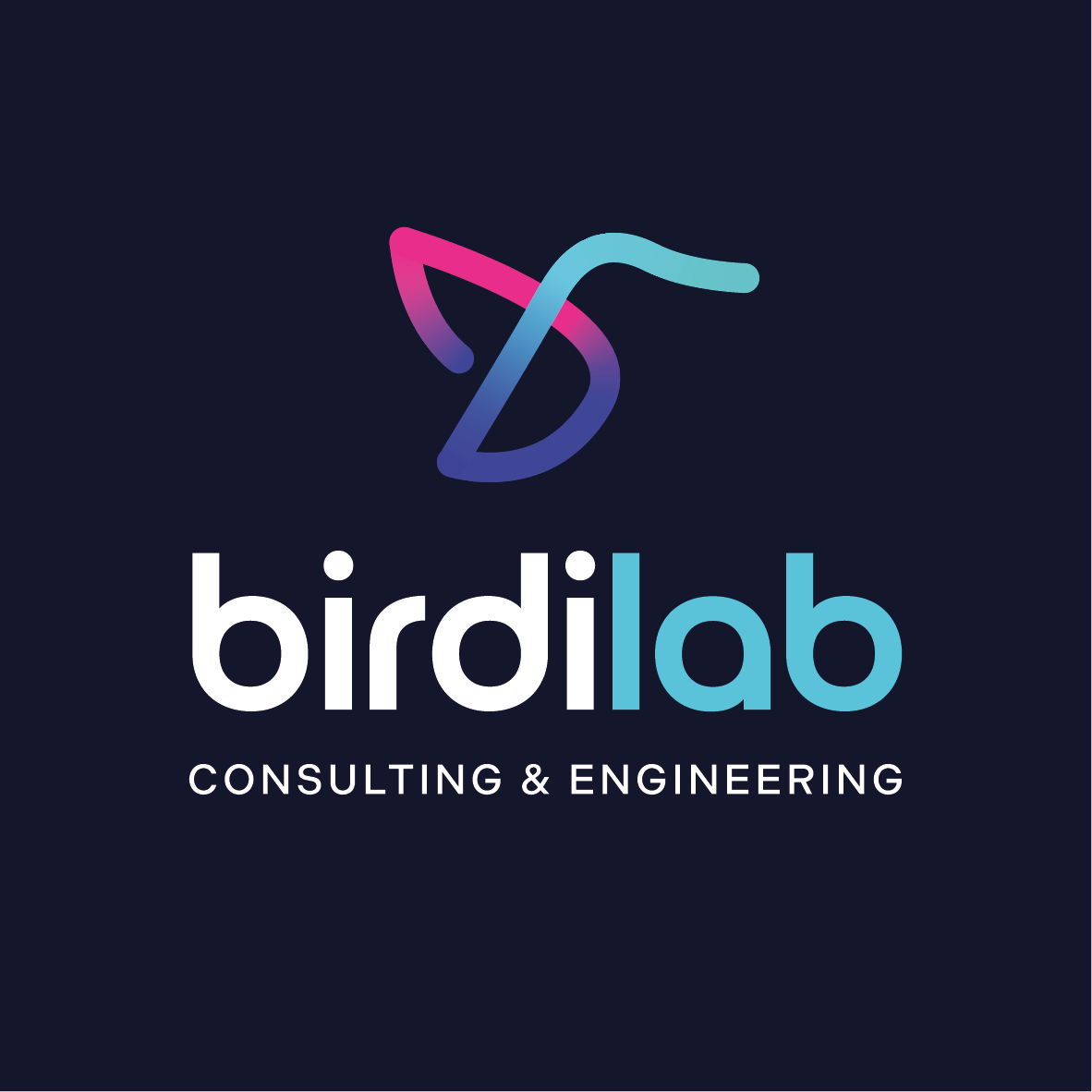 Logo BirdiLab